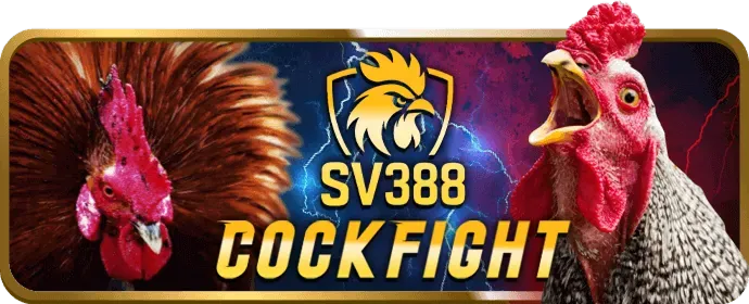 Đặc quyền VIP vin77 casino